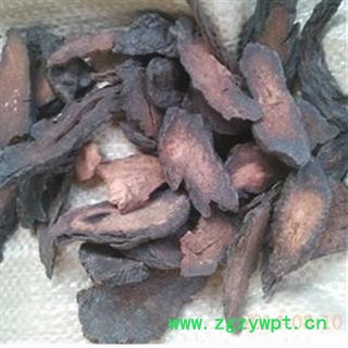肉苁蓉 硬大芸统片 产地 新疆维吾尔自治区 肉苁蓉 硬大芸统片 产地 新疆维吾尔自治区
