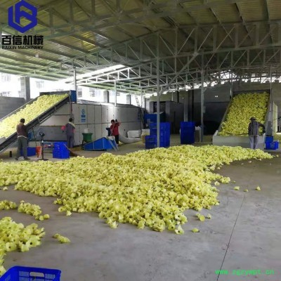 河南百信多层带中药烘干设备  大型中药烘干机   连续式中药脱水设备