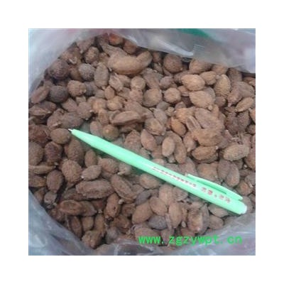 砂仁 进口壳砂仁 2020统货 产地 缅甸