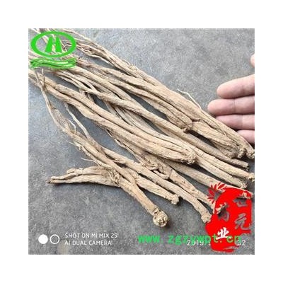 世元药业 党参大条 无硫 别称  黄参 防党参 上党参 狮头参 中灵草 黄党