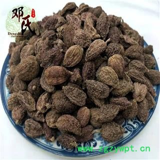 【满包邮】砂仁 缩砂仁 无硫 统 一公斤起批 邓氏尚品中药材批发