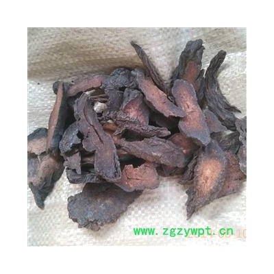 肉苁蓉 硬大芸统片 干度好 产地 新疆维吾尔自治区