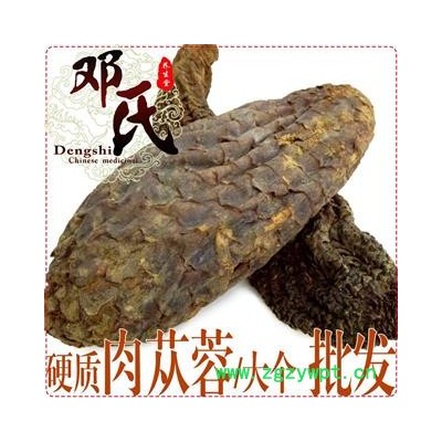 肉苁蓉 硬大芸 精选特级 优选品质 产地直供 邓氏中药批发