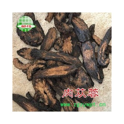 肉苁蓉 软肉苁蓉菊花心选货 产地 新疆维吾尔自治区 买好药找娟子