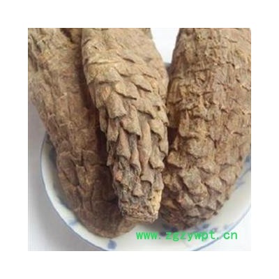 肉苁蓉 硬大芸个子 纯干货 不会发霉 产地 新疆维吾尔自治区