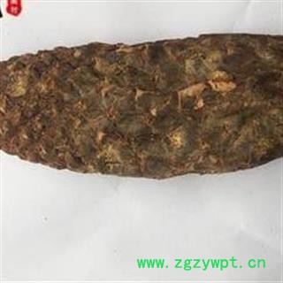 《满198包邮》肉苁蓉 好统货 纯干货 产地 新疆维吾尔自治区