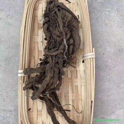 现货产地货源统货磨粉丹参中药 渣规格齐全无熏袋装丹参提取物渣 中药渣