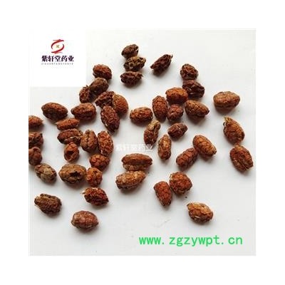 砂仁 去壳砂仁米统货 实物拍摄 药味浓 质量好