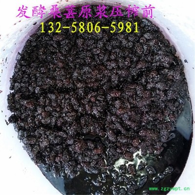 压榨机 液压压榨机 大黄苦参中药提取压榨机 中草药植物提取设备 中药渣脱水机