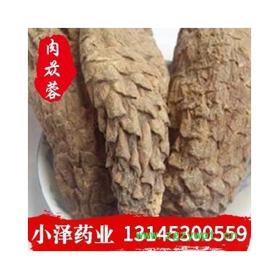 肉苁蓉 硬大芸 产地 新疆维吾尔自治区