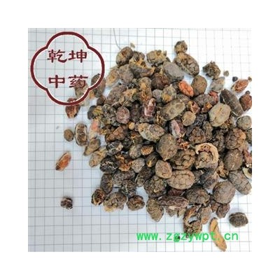 砂仁米，  砂仁 统货，高含量 产地 云南省【品种齐全 诚信经营】