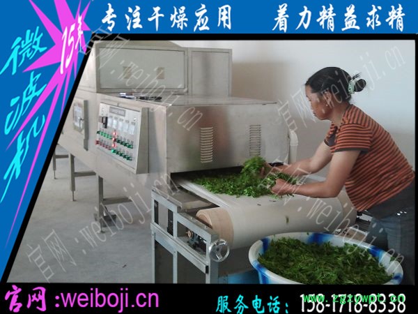 新一代节能环保中药材烘干干燥设备