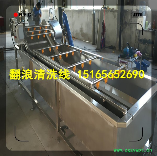 中草药量身定做清洗机【1516565.2690】全自动中药清洗机 药材清洗机 中草药量身定做清洗机【1516565.2690】全自动中药清洗机 药材清洗机