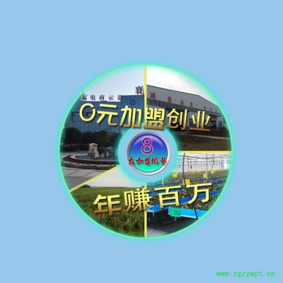 0元创业 年赚百万 中药材招商加盟