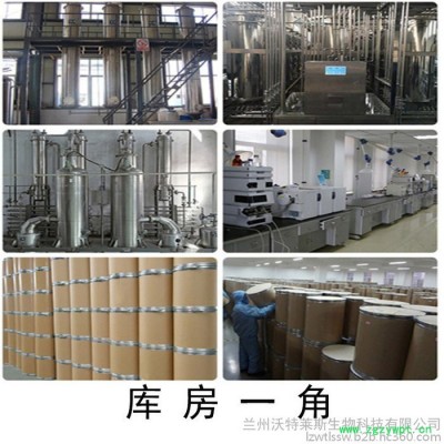 兰州沃特莱斯生物  当归提取物 当归粉 现货供应  当归多糖 中药材提取