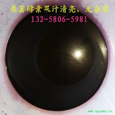 熬煮咖啡豆炼油后过滤脱水压滤机 药食同源中药渣过滤药液压榨机 咖啡渣压榨机