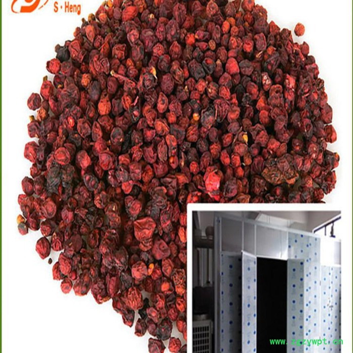 恒芝美 小型中药渣烘干机 新款畅销金银花烘干机 恒芝美 小型中药渣烘干机 新款畅销金银花烘干机