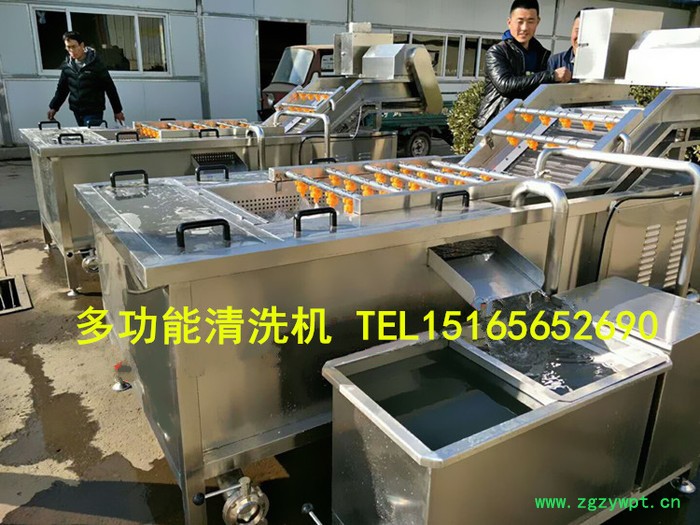 【佳品机械1516565 2690】圣女果清洗机价格 西红柿清洗机,大型中药清洗机 【佳品机械1516565 2690】圣女果清洗机价格 西红柿清洗机,大型中药清洗机