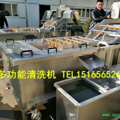 【佳品机械1516565 2690】圣女果清洗机价格 西红柿清洗机,大型中药清洗机