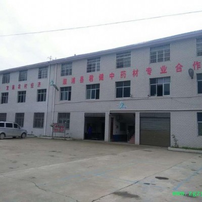 去皮黄柏  质量保证**， 产地厂家供应，价格合适，黄伯皮含量高 去皮黄柏皮 ， 刮皮黄柏皮 价格低 中药材