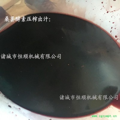 牛蒡无水发酵原浆高清过滤压榨机 银杏叶、中药草、香椿液压机 牛蒡酵素压榨机