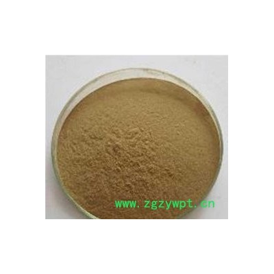 南箭 银黄提取物---兽药 中药（量多**现货）银黄提取物价格