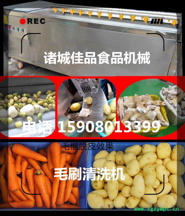 中药材清洗机 瓜蒌清洗机 根茎药根快速清洗机 佳品机械行业** 中药材清洗机 瓜蒌清洗机 根茎药根快速清洗机 佳品机械行业**