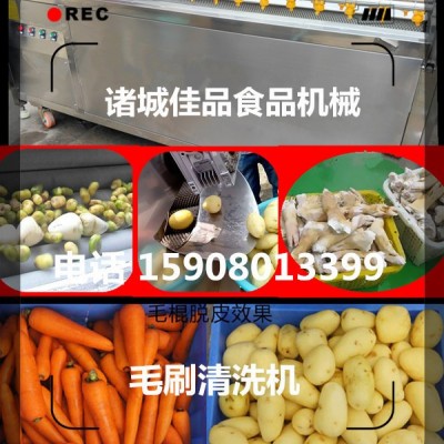 中药材清洗机 瓜蒌清洗机 根茎药根快速清洗机 佳品机械行业**