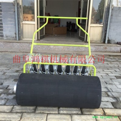中药材小颗粒种子播种机 白菜籽精播机 手推蔬菜播种机 鸿祺机械