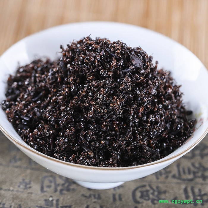 吉林黑蚂蚁多钱,中药拟黑多刺蚁,东北特产泡酒泡水