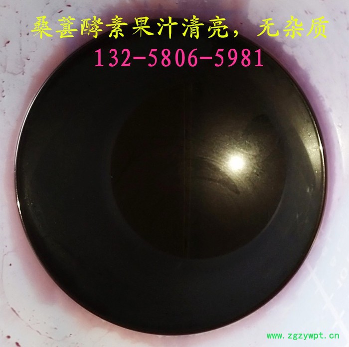 框栏液压式过滤提取设备 中药渣深层发酵酵素液渣汁分离压榨机