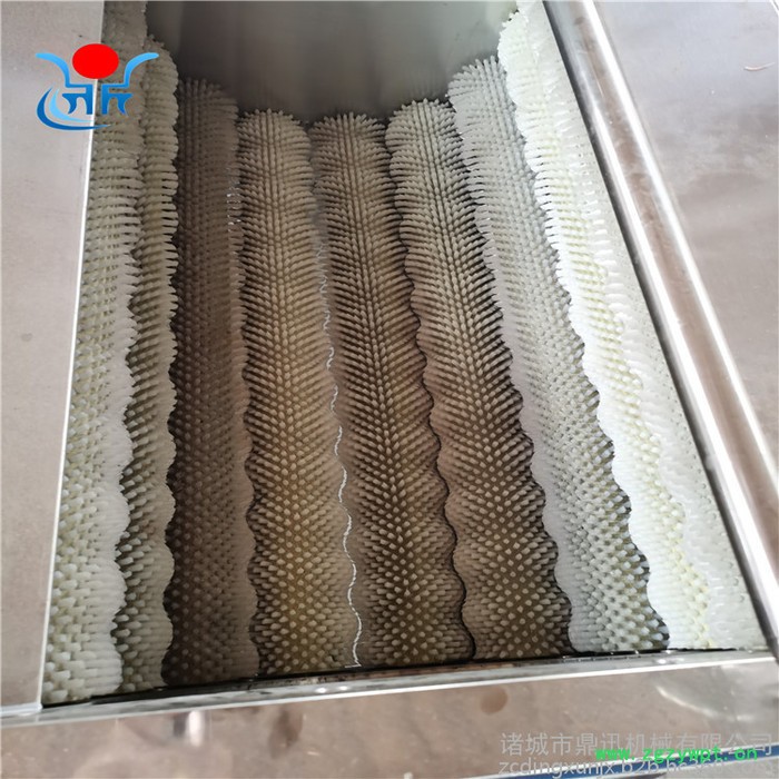 多功能洗菜机 莲藕清洗机 毛刷清洗机 中药材清洗机