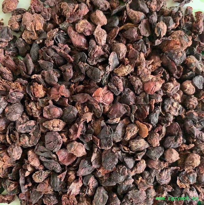 葡萄籽葡萄皮提取物 牛羊兔养殖饲料 中药材葡萄籽是 葡萄籽有卖的 牛羊兔饲料葡萄籽皮厂家批发价格