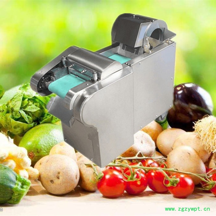 启硕牌节能省电新款切菜机 粗细可调土豆切丝机图  中药材切片机厂家 启硕牌节能省电新款切菜机 粗细可调土豆切丝机图  中药材切片机厂家