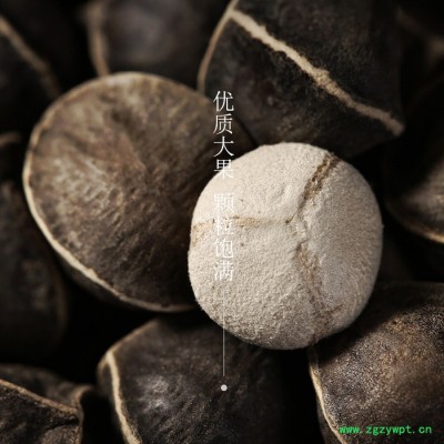 印度辣木籽多钱,正宗印度250克,食同源中药
