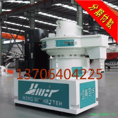 福建大型药渣颗粒机生产线价格