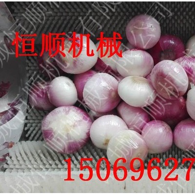 恒顺不锈钢毛刷清洗机  中药材清洗机 猕猴桃去皮机