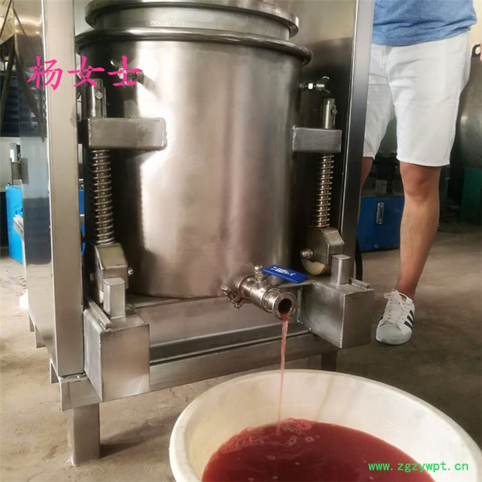**小型水果压榨机 桑葚蓝莓鲜榨水果榨汁机  蒸煮发酵中药渣过滤压榨机