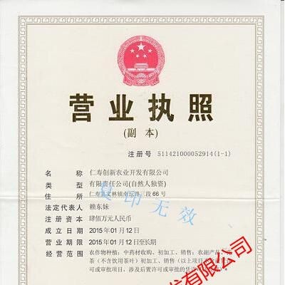 创新农业中药材薄荷基苗基地批发 丹参种子 种植技术