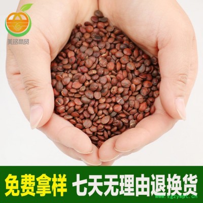 美铭中药材花草茶批发 河北**国产酸枣仁 保证  量大优惠