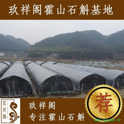 玖祥阁霍山铁皮石斛枫斗中药炮制