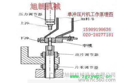 快速压片机、新款中药多冲压片机