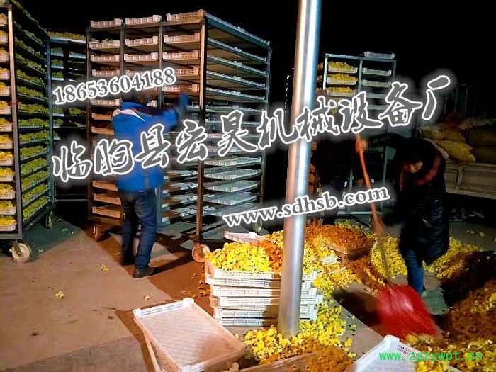 宏昊HH-1500 金丝皇菊 菊花烘干机 杭白菊烘干房 贵妃菊 金丝菊等中药材烘干设备 煤电两用 欢迎定制加工 宏昊HH-1500 金丝皇菊 菊花烘干机 杭白菊烘干房 贵妃菊 金丝菊等中药材烘干设备 煤电两用 欢迎定制加工