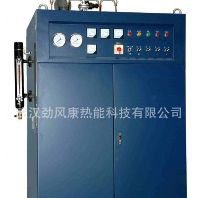 食品级炮制中药用蒸汽发生器 电加热蒸汽发生器 48kw