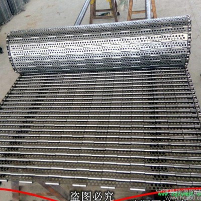 定制不锈钢链板 中药材清洗烘干链板 耐腐蚀大冲孔链板