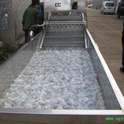 供应人参清洗机 不锈钢lr-600喷淋式气泡中药清洗机