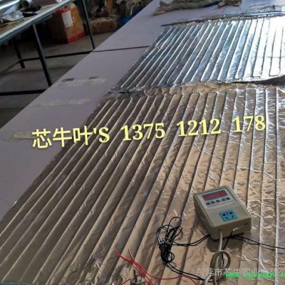 芯牛牌保健理疗瘦身减肥硅胶USB碳纤维远红电发热片外护腰带护膝缓解老寒腿护颈热敷盐艾绒中药电加热片地暖墙暖发热线