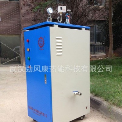 食品级炮制中药用蒸汽发生器 电加热蒸汽发生器 12kw