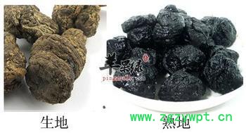 供应地中药材统、选河南中药生地公司中药生地厂家