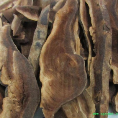 原生态厚片海南无柄赤芝片 无柄赤芝片中药材